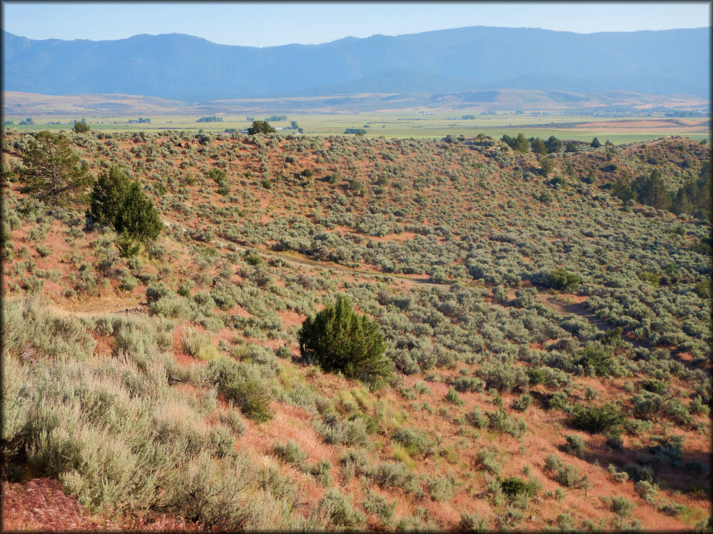 Rice Canyon OHV Area Trail