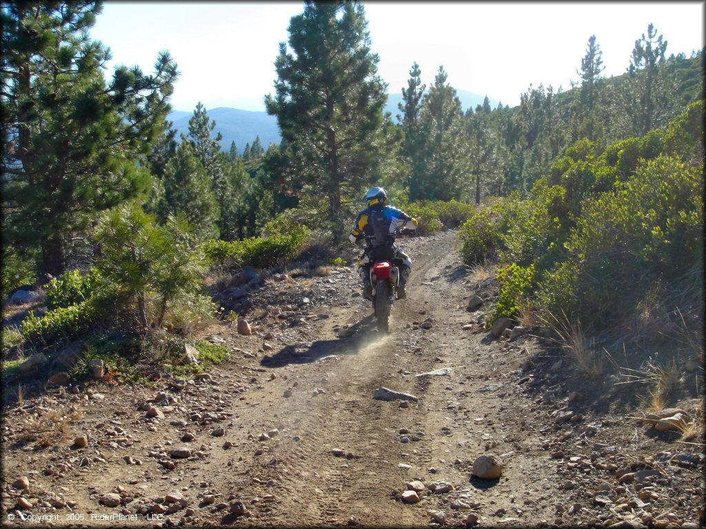 Honda CRF Motorcycle at Billy Hill OHV Route Trail