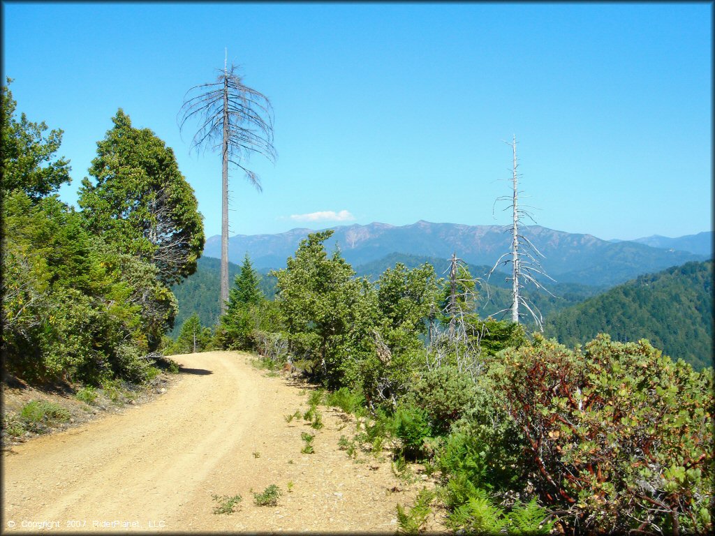 Scenery at Rattlesnake Ridge Area Trail