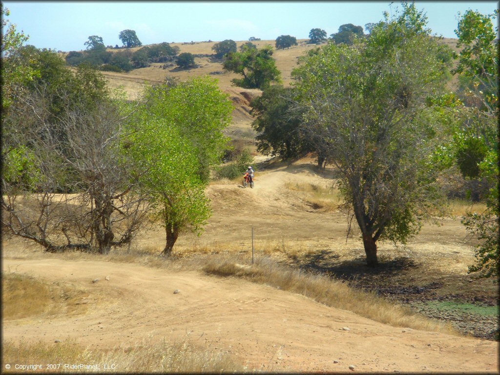 Honda CRF Motorcycle at La Grange OHV Park OHV Area