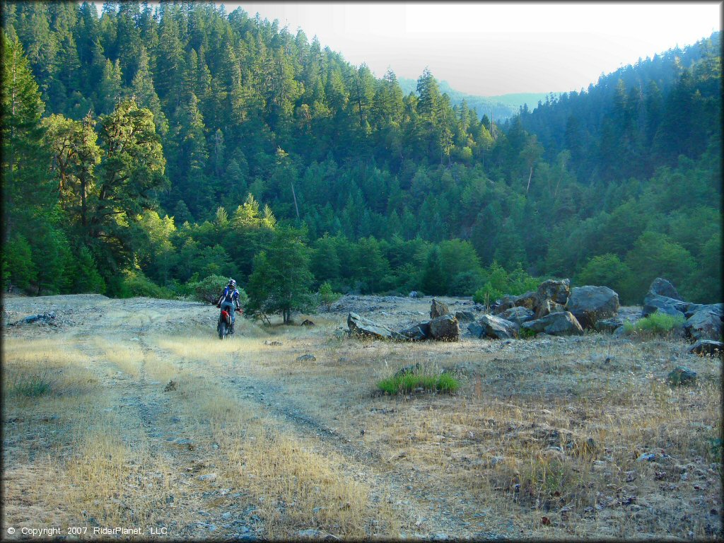 Honda CRF Dirt Bike at Lubbs Trail