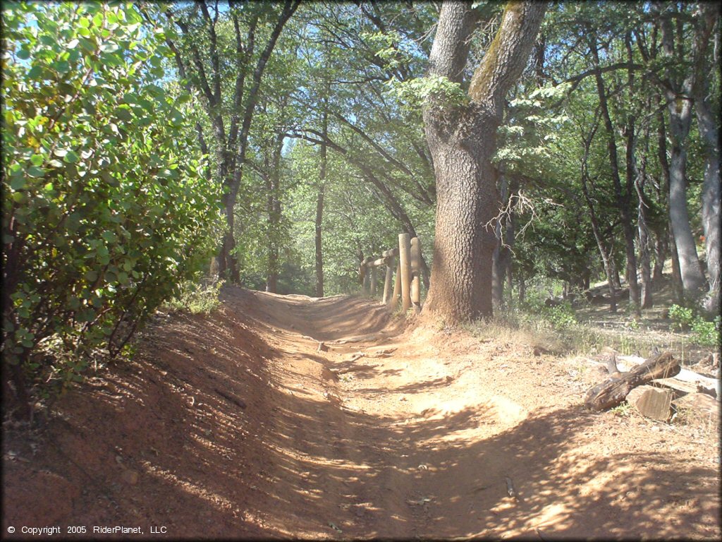 Penny Pines Trail