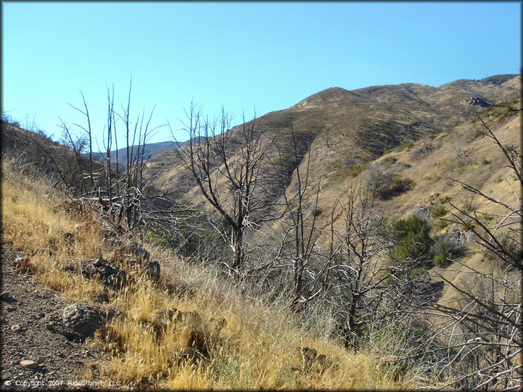 Scenic view of Frank Raines OHV Park Trail