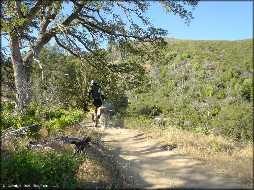 OHV at Penny Pines Trail