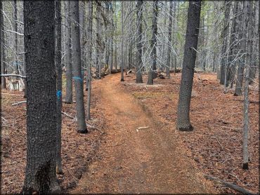 Three Trails OHV System