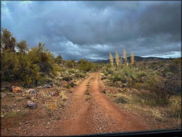 Arizona Peace Trail