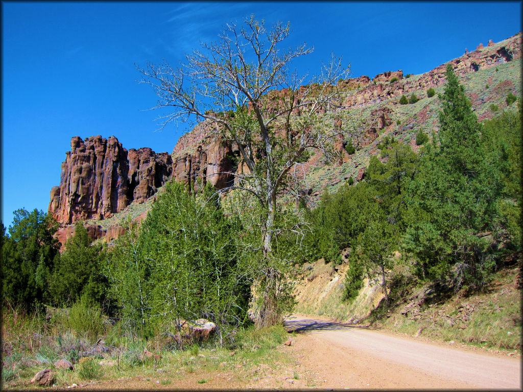 A scenic view of Three Creek Road surrounded by trees and rugged boulders.