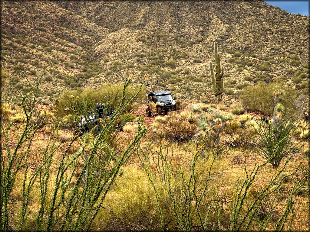 Arizona Peace Trail