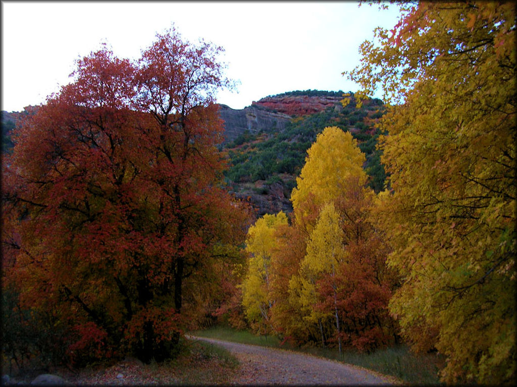 Sanpitch OHV Trail